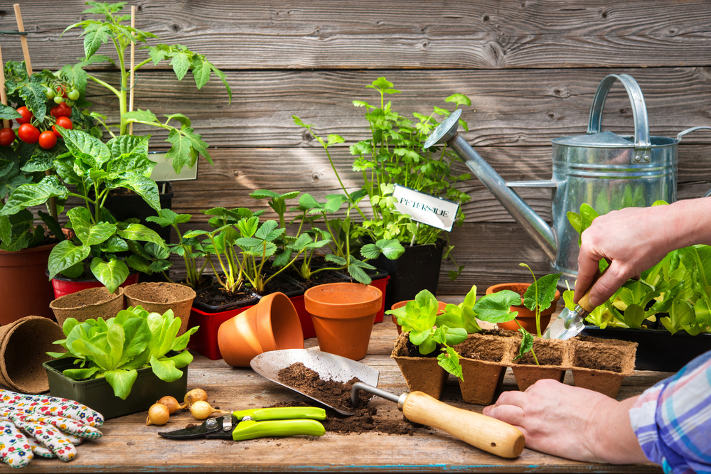 Accessoires plantes, Aide au jardinage