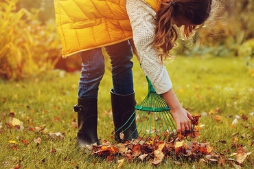 15 conseils de jardinage pour octobre