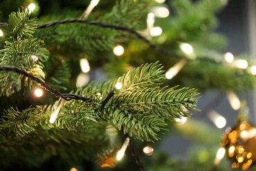 Choisir le sapin de Noël idéal : artificiel ou naturel ?