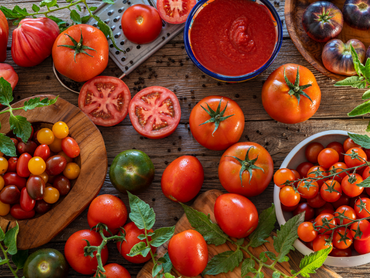De rijke variëteit van tomaten