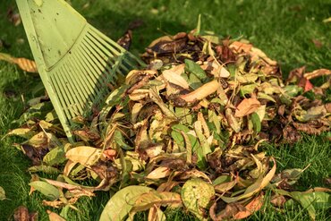 Herfstbladeren en composteren: dit moet je weten!