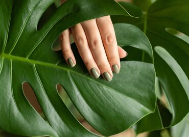 Kamerplanten voor echte beginners: zo krijg jij ook groene vingers