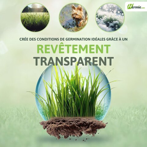 Semences de gazon jeu & sport 1 kg (jusqu'à 50 m²) - image 8