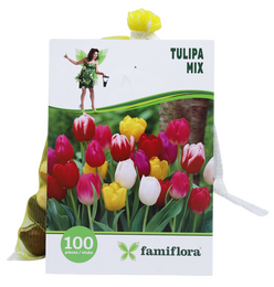 Tulipa Mix per 100 - afbeelding 1